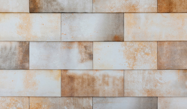 Image de September White