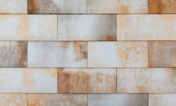 Image de September White