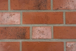 Bild von Strawberry Red Steenstrip
