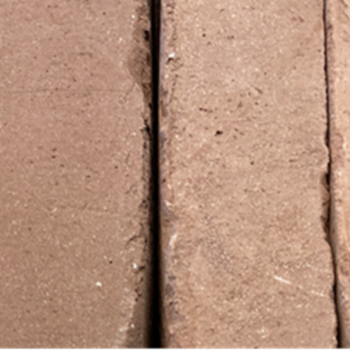Afbeelding voor categorie Circular BrickZ®